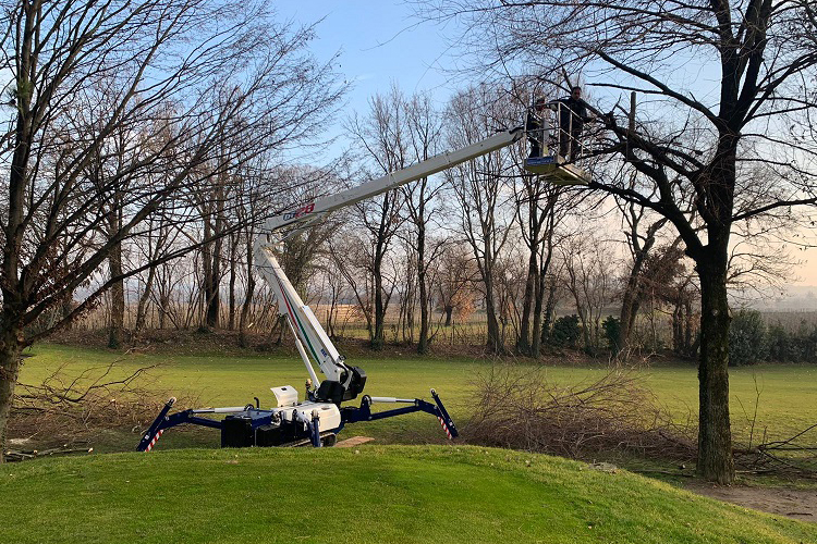 Cela DT Crawler 28 image 4