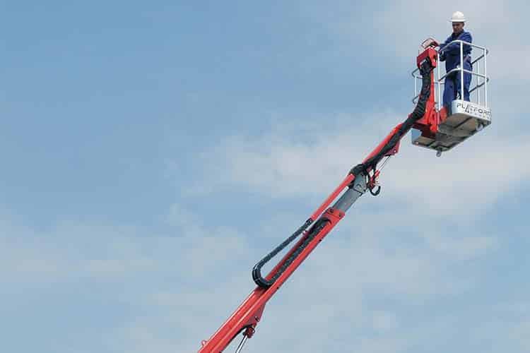 Platform Basket 15.75  image 8