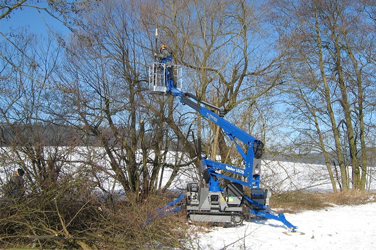 Platform Basket 15.75  image 4